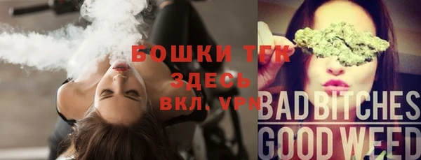 первитин Богородицк
