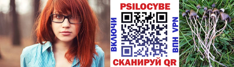 Галлюциногенные грибы Psilocybe  Среднеуральск 