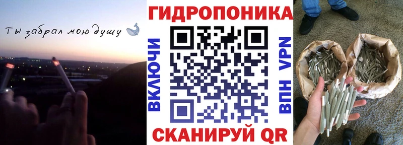 Шишки марихуана гибрид  Среднеуральск 